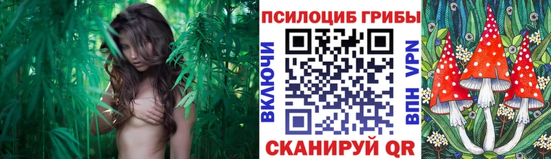 Псилоцибиновые грибы мицелий  дарнет шоп  Челябинск 