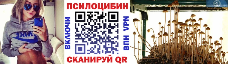 Псилоцибиновые грибы мицелий Челябинск